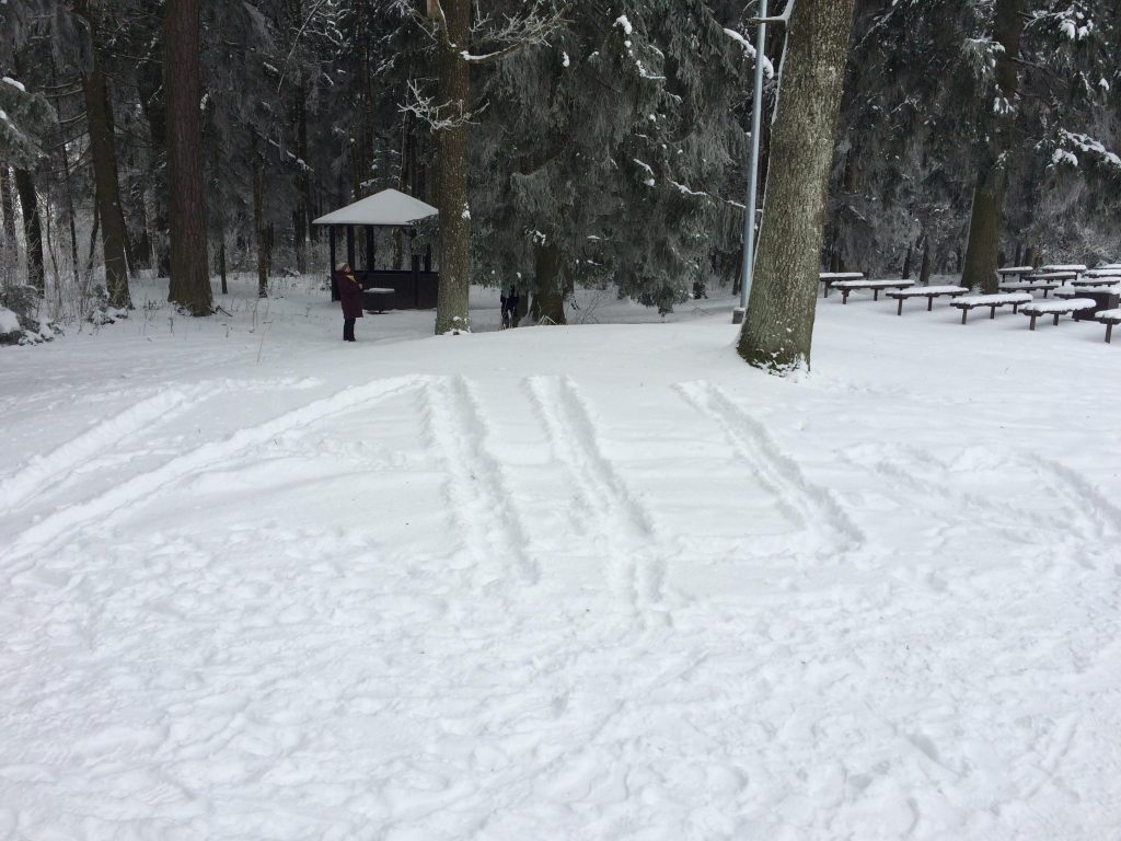 51193443 215117832667382 3946923190944530432 n