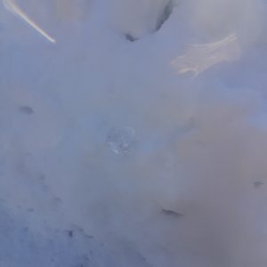 Emilija J. rotated