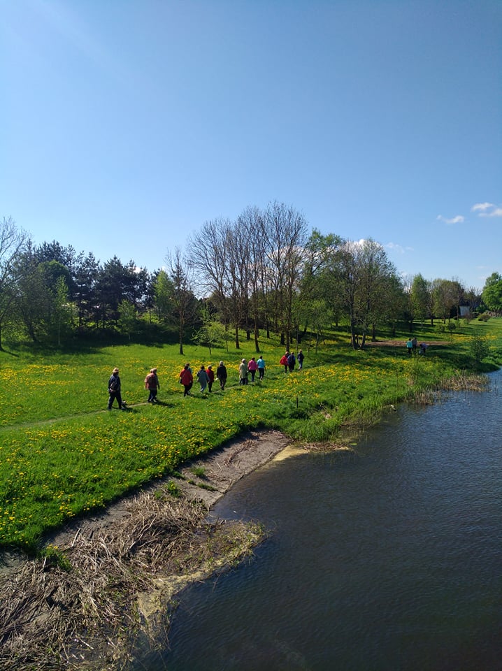 185275564 818311859107301 3092934073321394729 n
