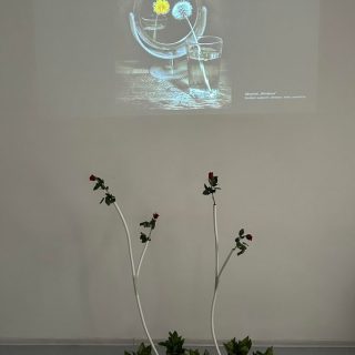 Moteryte ir tasyte 06